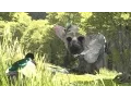 Video di The Last Guardian Gameplay - Part 2 (PS4, 1080p)