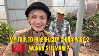 我去普洱看有机茶和咖啡如何种植（第二部分）
