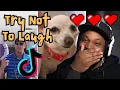4 Hour Of CoryxKenshin s FUNNIEST Try Not To Laugh Clips