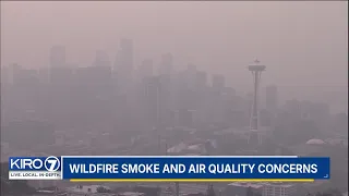 Wildfire smoke and air quality concerns