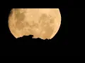 beautiful moonrise tonight with birds