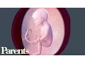 Developing Senses Weeks 22 to 25 of Pregnancy Parents
