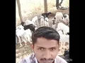 Download Lagu अपने स्वभाव को हमेशा  सूर्य की तरह रखिये ,न उगने का अभिमान  न डुबने का डर‌...#jayendrasinh_sodha772