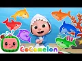 Download Lagu Baby Shark Learns Colors | CoComelon Nursery Rhymes \u0026 Kids Songs