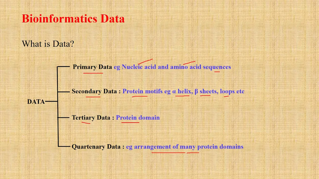Introduction To Bioinformatics And Summary For Beginners