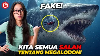 ILMUWAN BARU SADAR! Ternyata Selama Ini KITA SALAH Tentang MEGALODON!