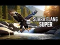 Download Lagu MASTERAN SUARA ELANG DAN GEMERCIK AIR MENGALIR 1 Jam FULL POWER KWALITAS SUPER
