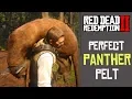 HOW TO GET A PERFECT PANTHER PELT RED DEAD REDEMPTION 2 FAST TIPS