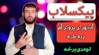 پیکسلاب انځورګر پروګرام زده کړه لومړی برخه 