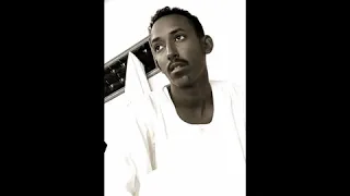 منال البدري سمير قليبي 2019 