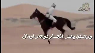 شعر بدوي عن الرجوله موكل من يسمك رسن خيل خيال بدوي مزيون 