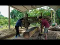 Download Lagu Dit is de juiste manier om hout te zagen en er een huisframe van te maken. - Ly Tieu Tuyet.