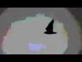 Cocteau Twins - Lorelei (Video)