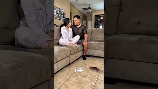                            دندنها