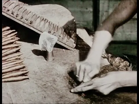 Culture et industrie du tabac en Malaisie (1909) Tobacco Culture (Pathé)