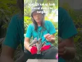 Download Lagu melatih burung kekep babi loncat/jump dasar