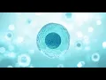 A Single Cell Namaste Village Morning Session July 7 2022
