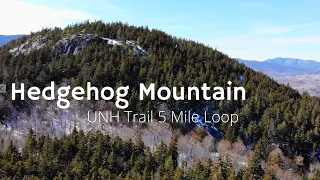 Download Hedgehog Mountain NH - UNH Loop Trail MP3