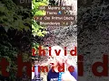 Download Lagu 108  Mantra de la Tierra 🌎 ✨⛰️ Om Prithvi Dhatu bhumdeviya ✨⛰️ #meditation