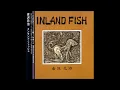 Download Lagu Yoshizawa Motoharu-Inland Fish (Full Album)