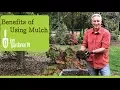 7 Big Benefits of Using Mulch