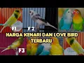 HARGA KENARI LOPER,AFs, F1, F2, F3, GACORAN DAN LOVE BIRD TERBARU 