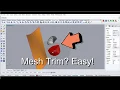Mesh in Rhino Easiest method