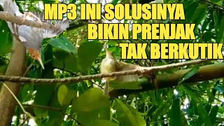 Download Mikat prenjak blom 5mnit udah kumpul. mp3 ini solusinya MP3