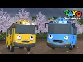 Download Lagu Tayo Bahasa Indonesia Spesial l #60 Iknik Tayo di musim semi l Tayo Bus Kecil