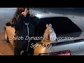 Download Lagu Shiloh Dinasty - Novocaine (Versnelling \u0026 Reverb)