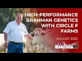 Brahman Genetics with Circle F Farms | The American Rancher | 08-02-22