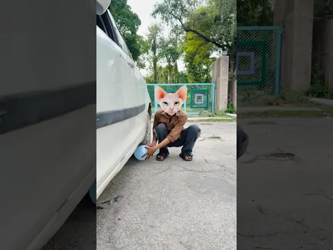 Cat ka balloon 🎈 cheen liya #cutebaby #youtubeshorts #viralvideo #comedy #shortsfeed