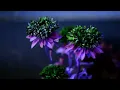 Noisia - Tommy's Theme