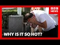 Why is it so hot and when will European heatwave end BBC News