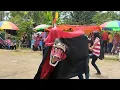 Kuda liar wijaya sari // Banyumasan