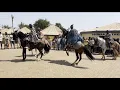 Download Lagu The Incredible Dancing Horses at Gbewaa Palace! 🐎