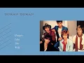 Download Lagu Duran Duran - Hungry Like The Wolf (Lyrics)