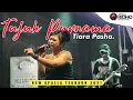 Download Lagu Tiara Pasha - TUJUH PURNAMA - NEW APALLA 2021