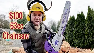 I Bought The Cheapest AND Most Powerful Chainsaw On Amazon