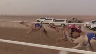 الشوط 6 شوده للسيد محسن سعيد محسن حفيظ المزروعي توقيت 2 18 62 