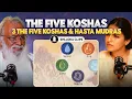 Lagu The Five Koshas \u0026 Hasta Mudras |  Swamiji Kapri on Body to Beiing | Shlloka