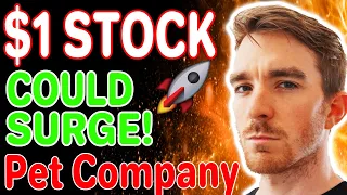 $1 Stock That Could Surge!! Pet Products Company!