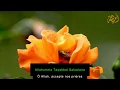 Emouvante Dou'a Laylatul Qadr (Qunut): Sh. Muhammad Jibril- Traduit + Translit. Français