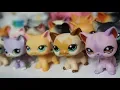 All My LPS Shorthair Cats LPSjazzmatazz