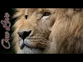 Download Lagu Surah Yasin Best Tajweed Beautiful Quran Recitation Heart Soothing By Muhammad Al Minshawi