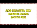Add registry key entries using batch file 2 Solutions