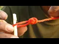Easy Snake Trap Easy Python Trap Using Big Cutter Chicken That Work 100