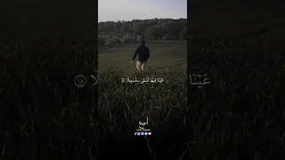 عينا فيها تسمتى سلسبيلا سورة الإنسان بصوت القارئ محمد اللحيدان 