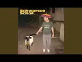 Lagu Schwarzes Schaf