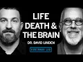 Life Death the Neuroscience of Your Unique Experience Dr David Linden
